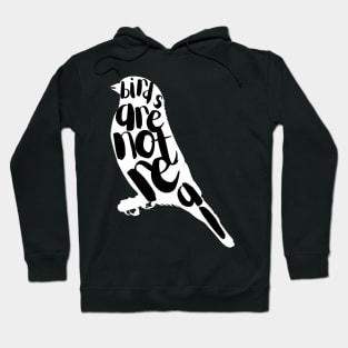 Birds are not real Hoodie